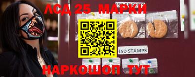 амф Донской